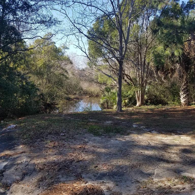 1005 Harris Avenue - Photo 1