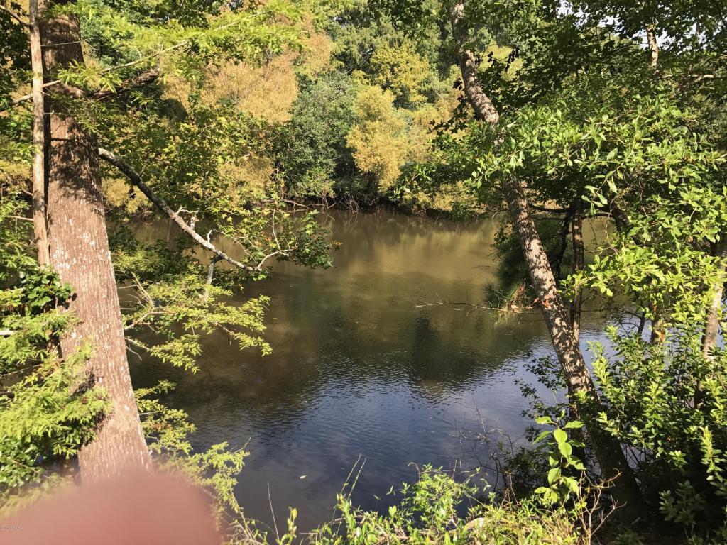 00000 Blue Bream Drive - Photo 1