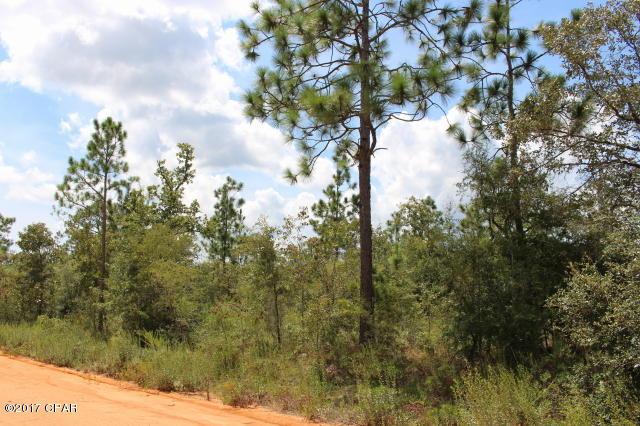0 Peppervine Pl - Photo 1