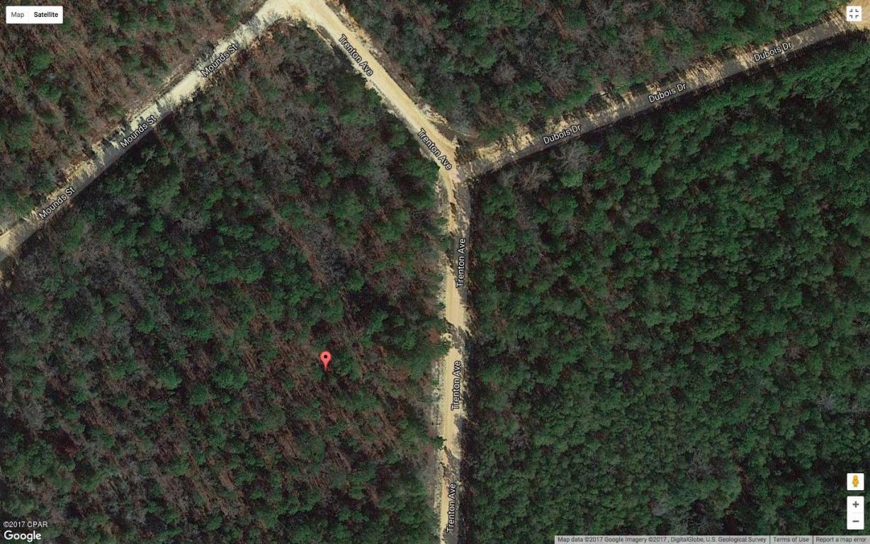 0 Trenton Avenue - Photo 1