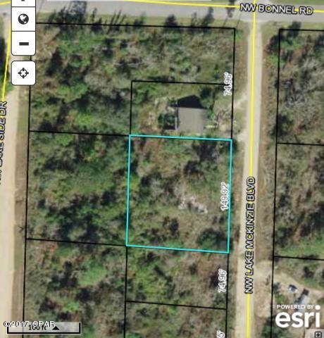 TBD Lake Mckenzie Boulevard - Photo 1