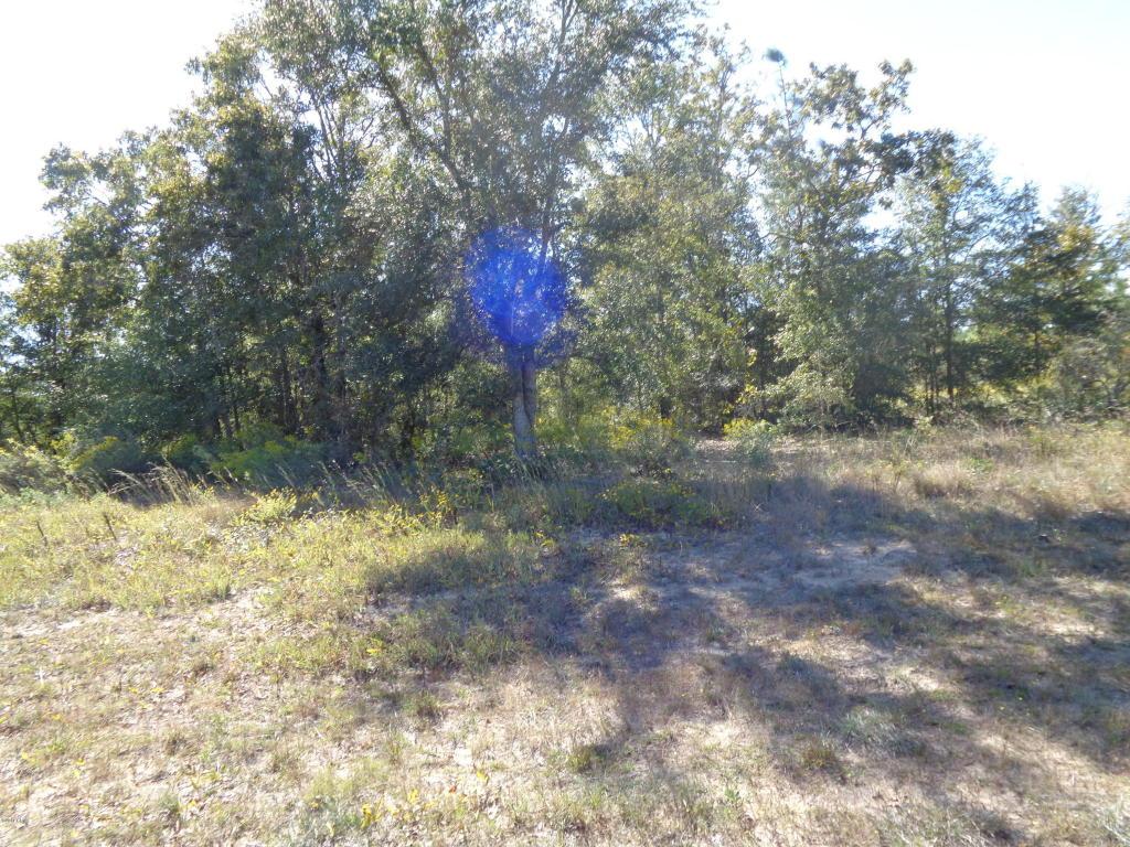 LOT 10 Harvey - Photo 1