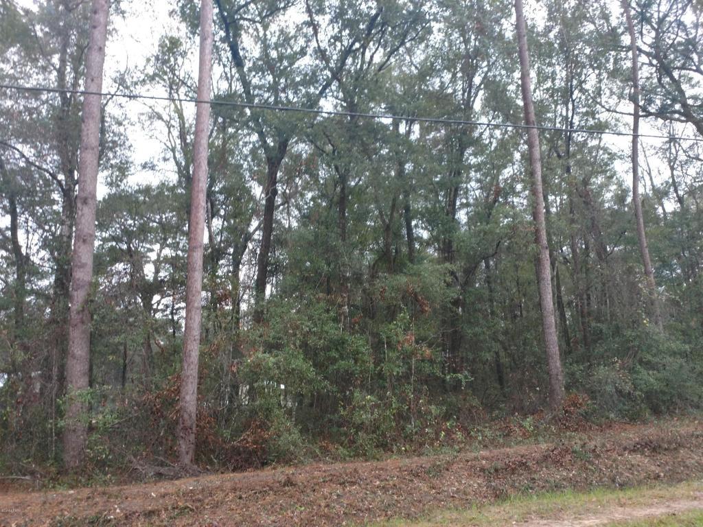0000 Bobkat Road - Photo 1