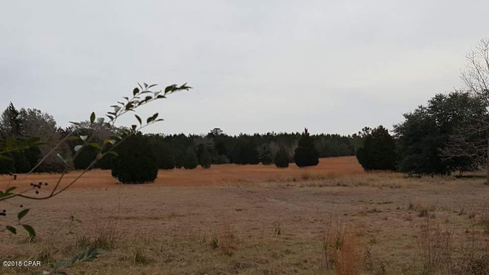 2669 Bruner Dairy Road - Photo 1