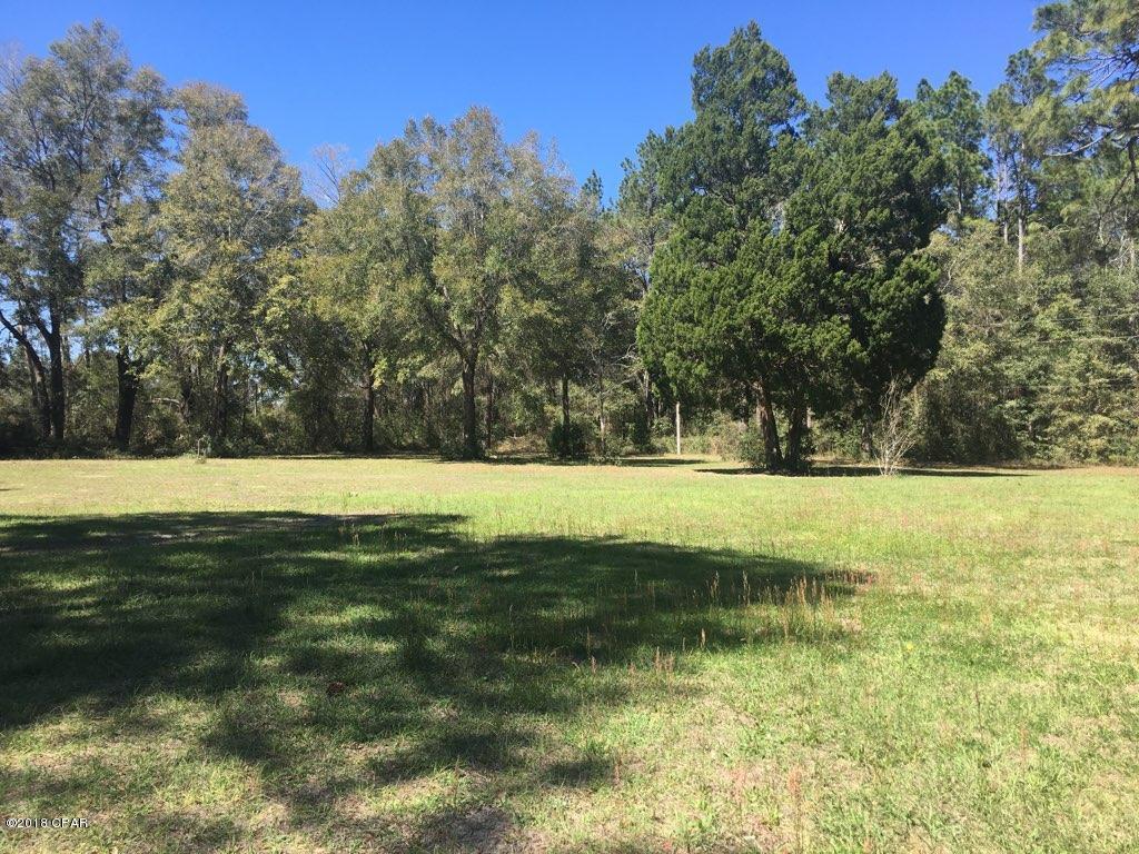 14219 Highway 231 - Photo 1