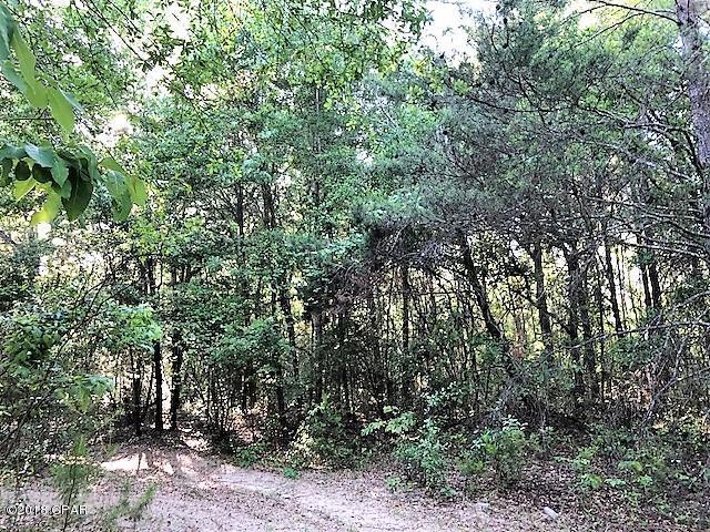 0 Off Hwy 231 - Photo 1