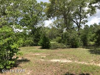 16001 Creek Haven Road - Photo 1