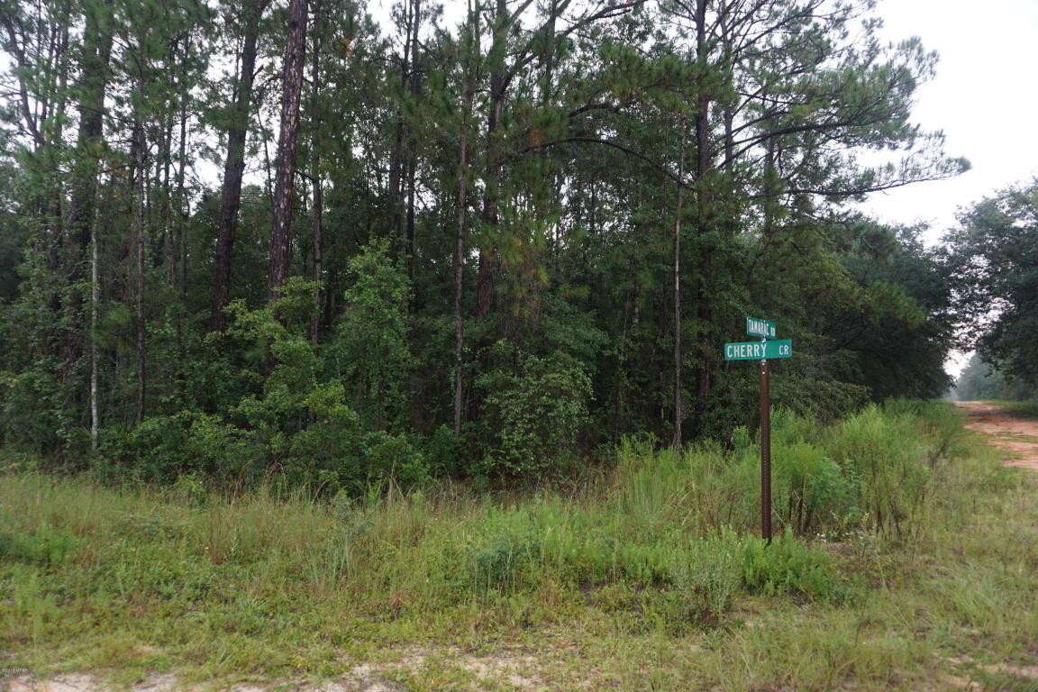 000 Tamarac Road - Photo 1