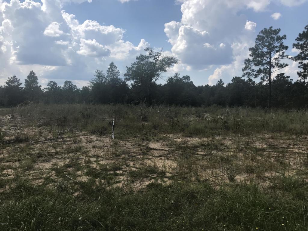 3904 Amy Lane - Photo 1