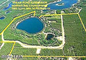 14717 Bream Pond Drive - Photo 1