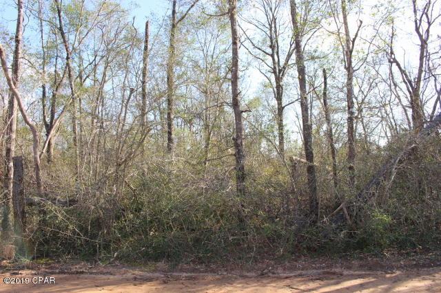 0 Nonawood Road - Photo 1