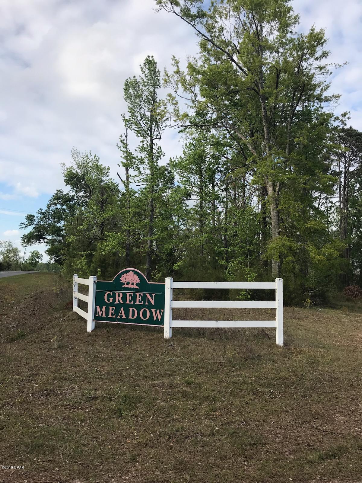 0 Green Meadows Trail - Photo 1