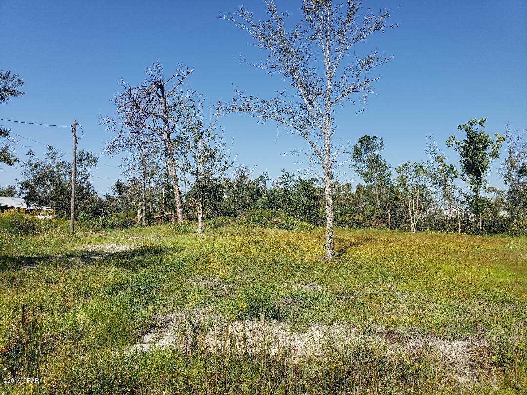 8823 Dorothy Farris Road - Photo 1
