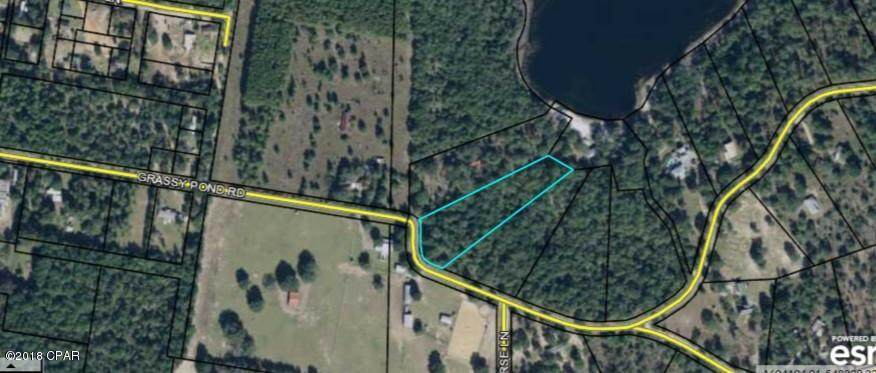 5000 BLOCK Grassy Pond Road - Photo 1