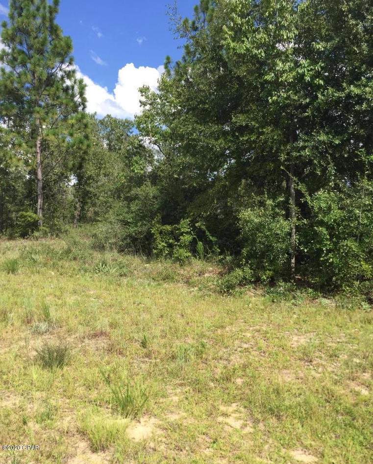 Lot 12 Amherst Drive - Photo 1