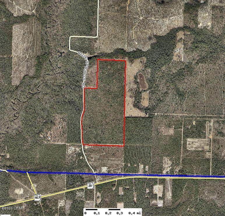 0000 Blue Springs Road - Photo 1