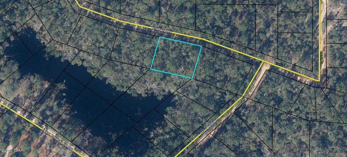 Lots 28,29 Pintail Drive - Photo 1