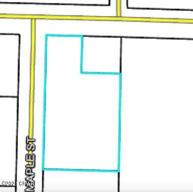 000 Maple Street - Photo 1