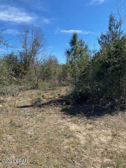 0 Shelby Avenue - Photo 1