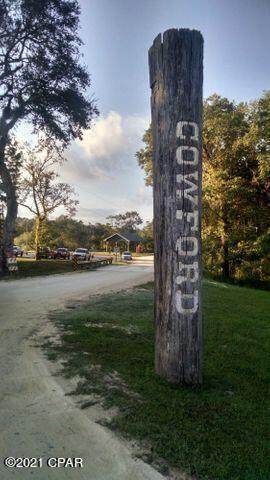 Lot 6 Big Cedar Road - Photo 1