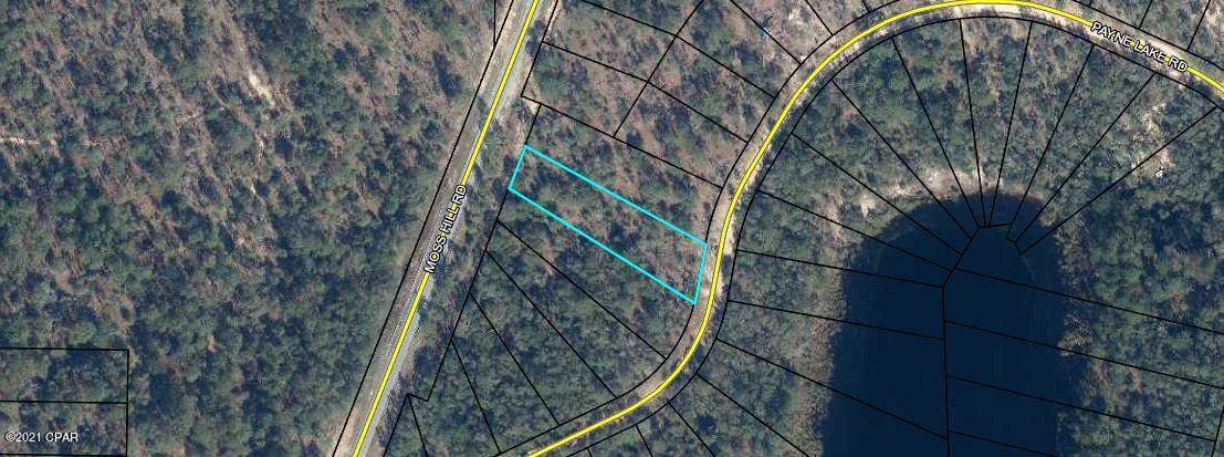 0000 Payne Lake Road - Photo 1
