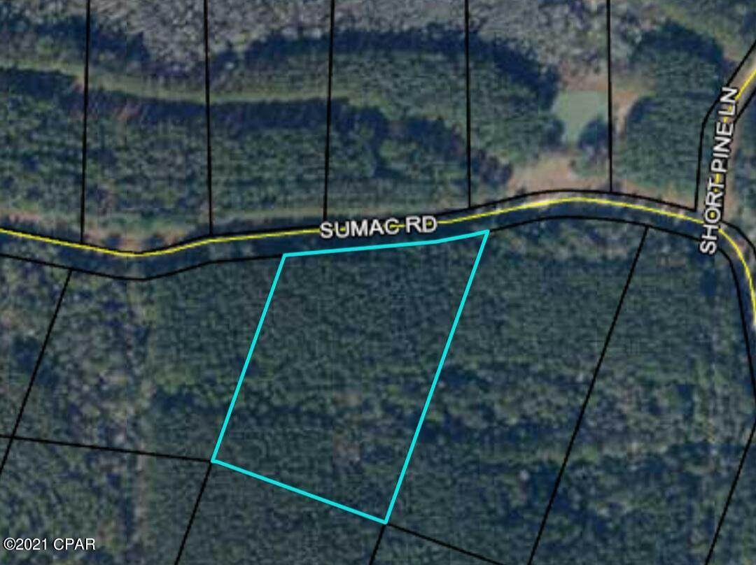 00 Sumac Road - Photo 1