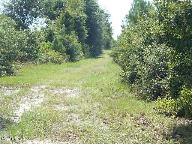 0000 Parramore Road - Photo 1