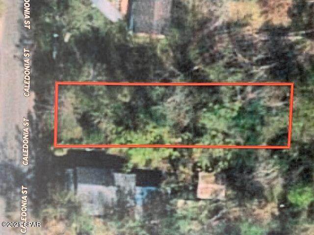0 Carters Mill Rd - Photo 1