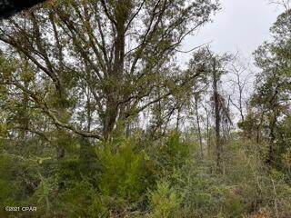0 Los Padres Avenue - Photo 1