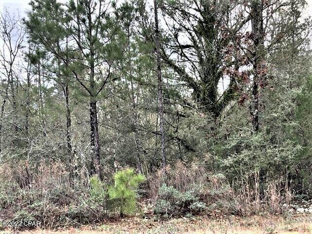0 Woodland Road - Photo 1