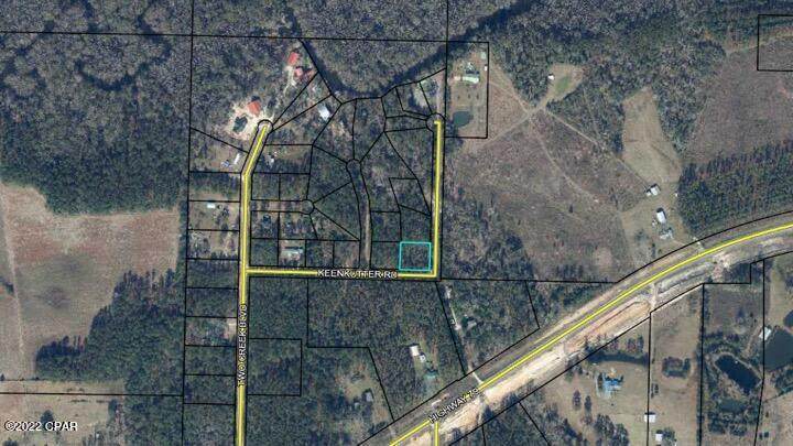 Lot 38 Keenkutter Road - Photo 1