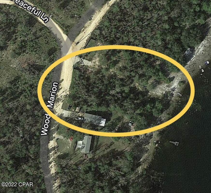 Lot 52&53 Woodymarion Drive - Photo 1