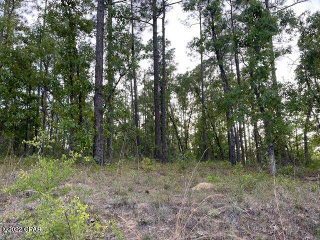 0 Wildrose Lane - Photo 1