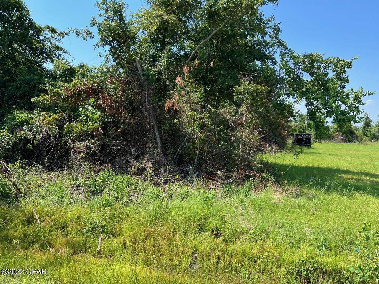 5209 Boat Race Road - Photo 1