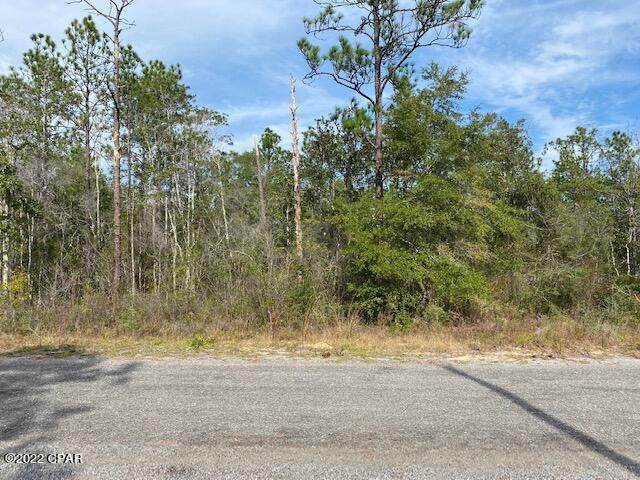 33-15 Tiger Lily Lane - Photo 1