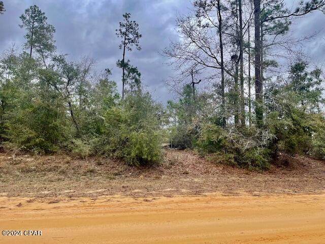 11 Tamarac Road - Photo 1