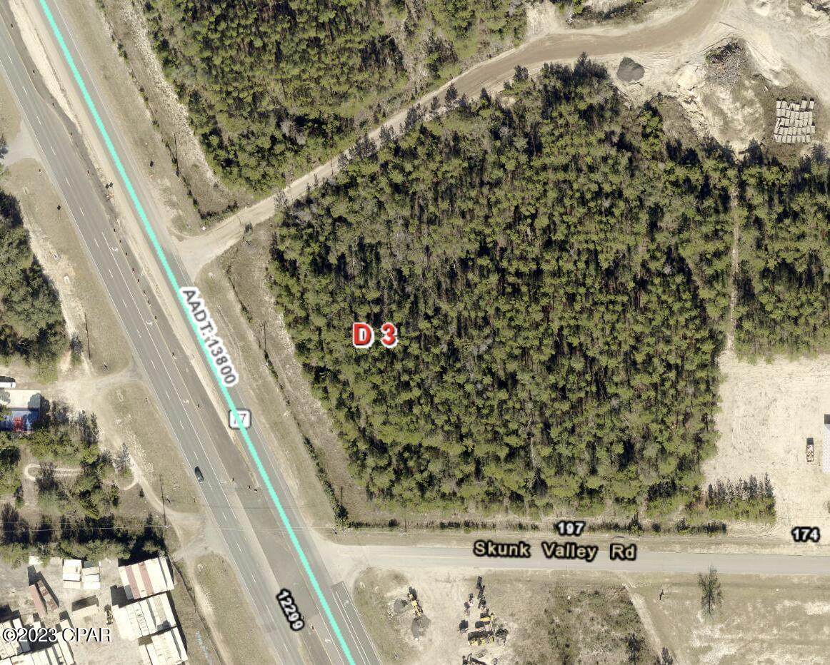 211 Skunk Valley Road - Photo 1