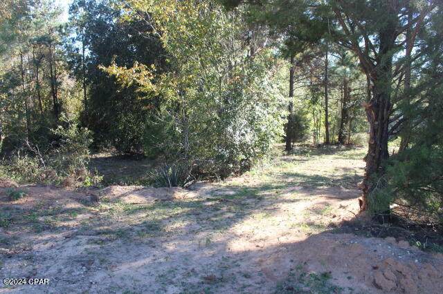 7073 Lewis Lane - Photo 1