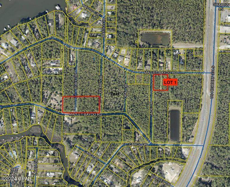 Lot 1 Mallot Bayou Road - Photo 1