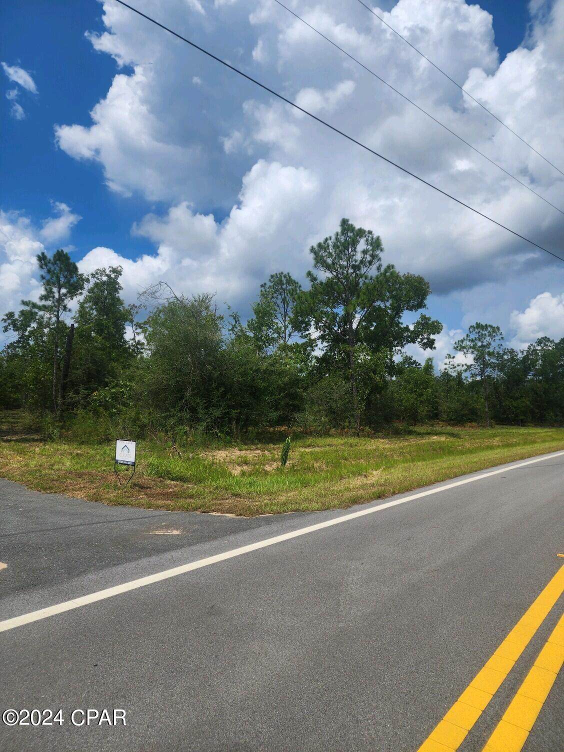 Lot 6 Buckhorn Boulevard - Photo 1