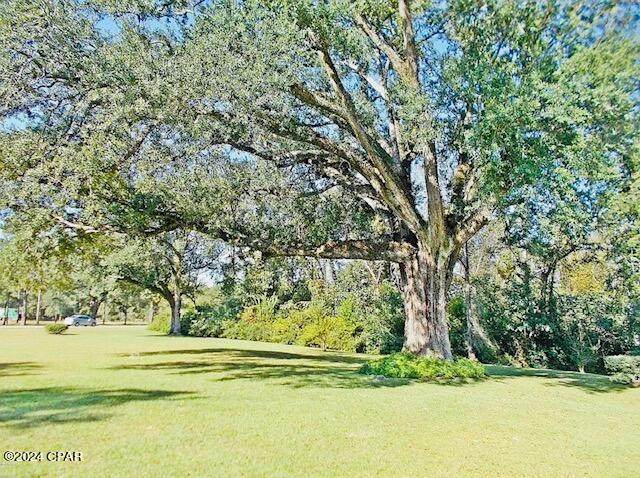 https://bt-photos.global.ssl.fastly.net/panamacity/orig_boomver_1_762518-2.jpg