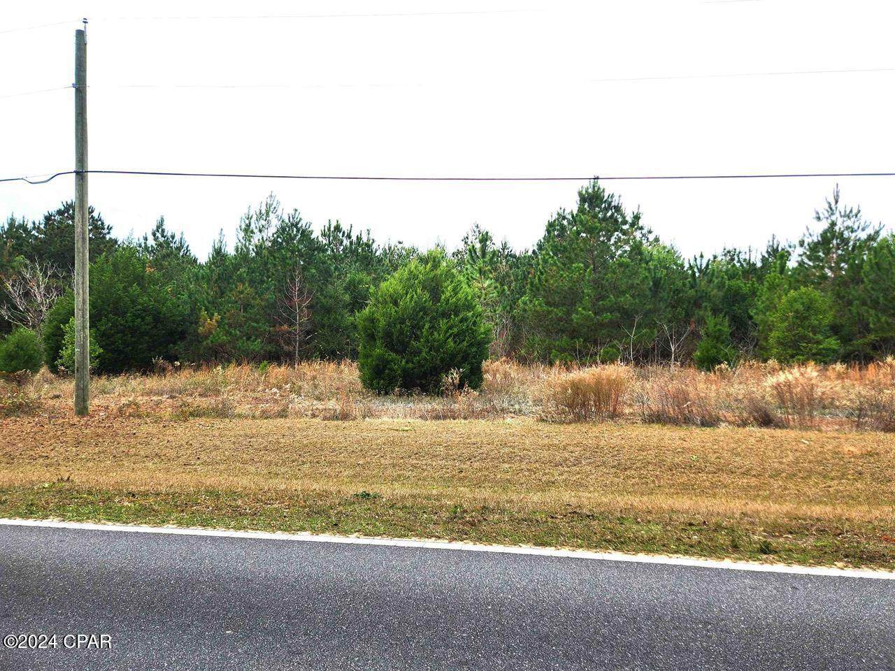 xxx Freeman Road - Photo 1