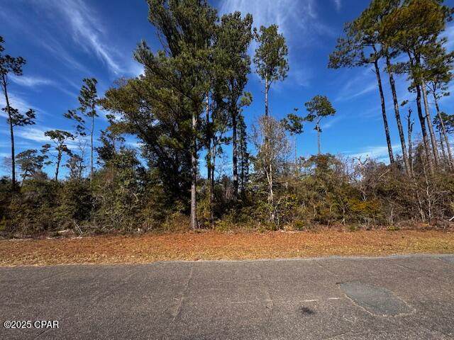 Lot 7 Blk 204 Vancouver Drive - Photo 1