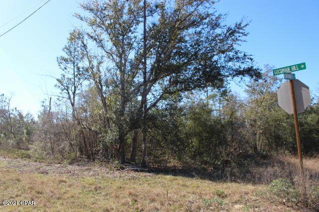 0 Goodman Hill Road - Photo 1