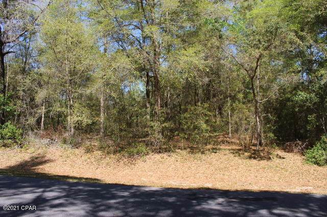 2905 Gardenia Drive - Photo 1