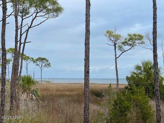 Lot 6 Cape San Blas Rd - Photo 1