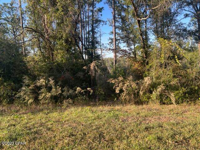 https://bt-photos.global.ssl.fastly.net/panamacity/orig_boomver_1_768133-2.jpg