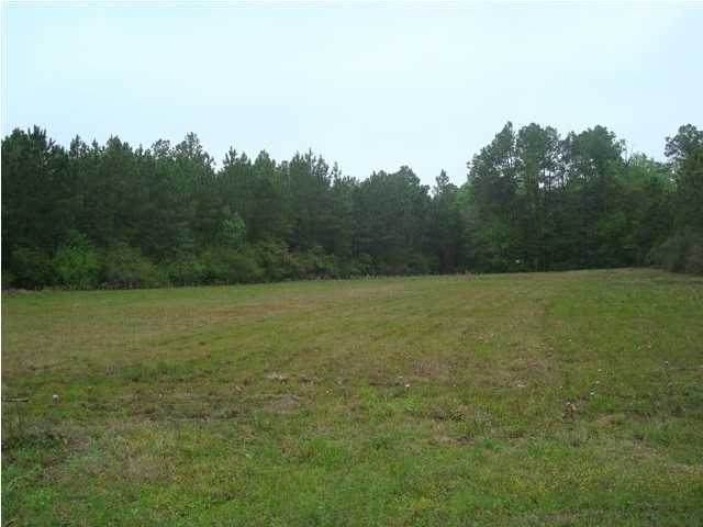 5913 Hwy 231 - Photo 1