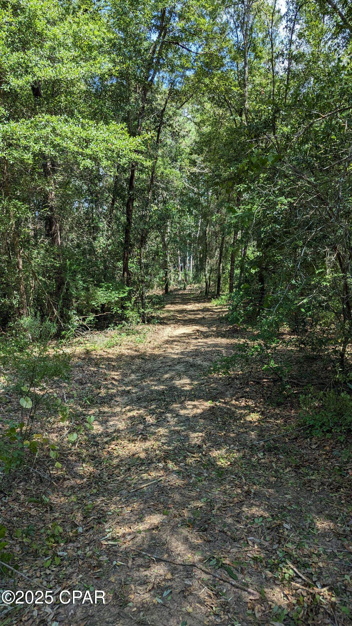 https://bt-photos.global.ssl.fastly.net/panamacity/orig_boomver_1_772674-5.jpg