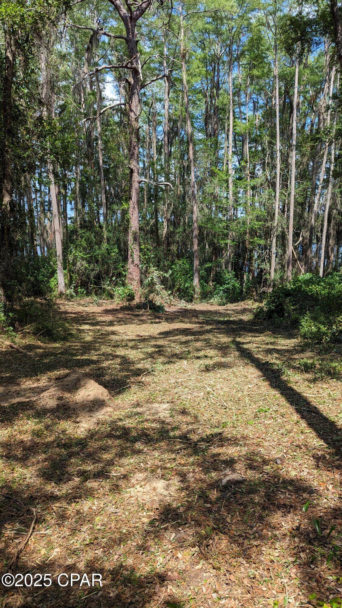 https://bt-photos.global.ssl.fastly.net/panamacity/orig_boomver_1_772674-5.jpg